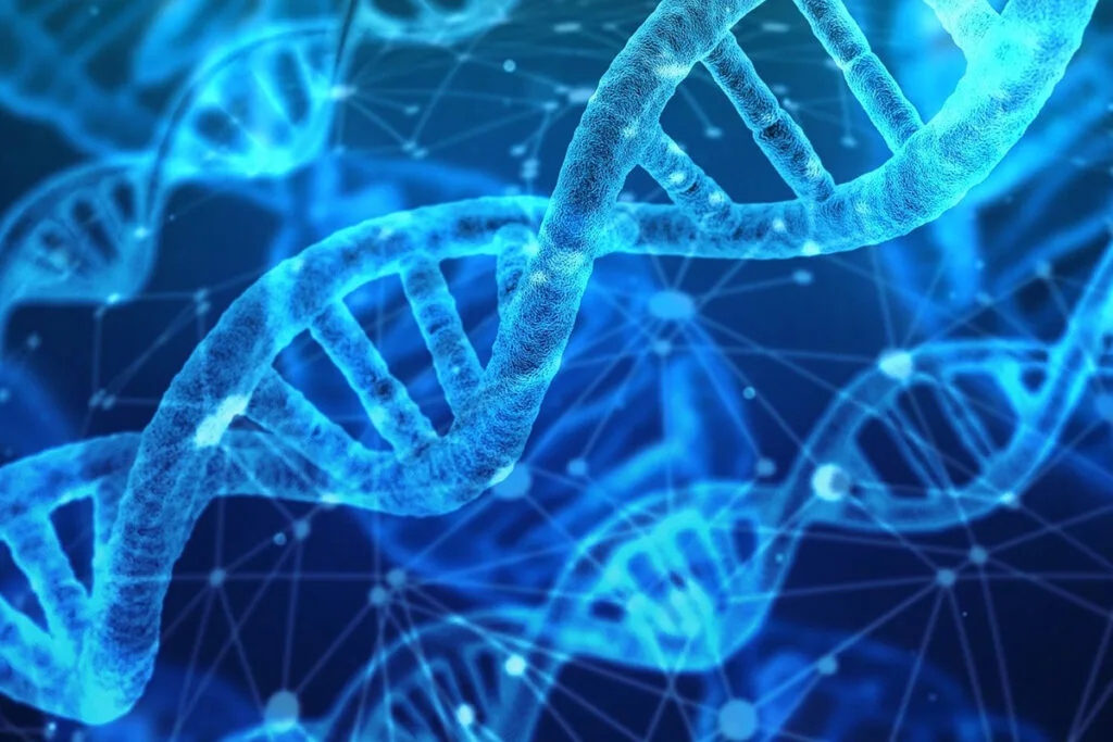What Is a Genetic Disorder and How Does It Develop?